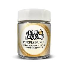 Viva La Hemp 10g Purple Punch